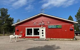 Porotila Toini Sanila